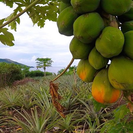 Sunrise Lagoon Homestay Nanuya Lailai エクステリア 写真